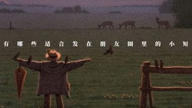 關(guān)于臘月的唯美詩(shī)句