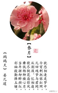 有關(guān)于象征的古詩(shī)句子