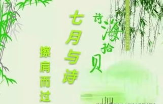 描寫(xiě)擦肩而過(guò)古詩(shī)句