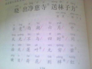 贊美夏天風(fēng)景的詩(shī)句古詩(shī)