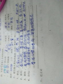 請默寫(xiě)兩句描寫(xiě)春的古詩(shī)句