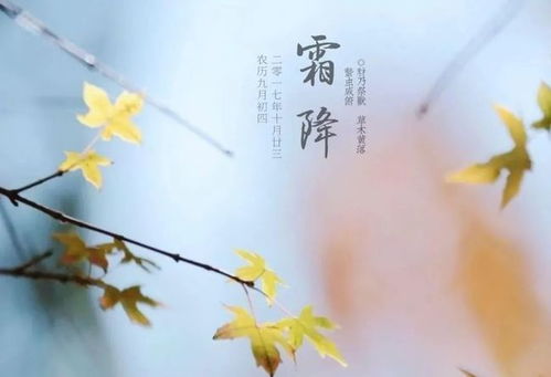描寫(xiě)霜降的詩(shī)句古詩(shī)詞,描寫(xiě)霜降節氣的詩(shī)句,描寫(xiě)霜降柿子的詩(shī)句