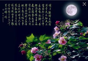 描寫(xiě)3月份的詩(shī)句古詩(shī)