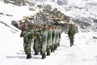 關(guān)于對軍人冷漠的詩(shī)句