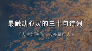 關(guān)于心靈的古詩(shī)句