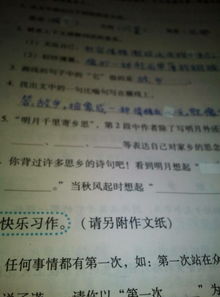 寫一篇關(guān)于古詩句的作文