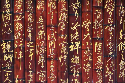 描寫(xiě)海南的詩(shī)句古詩(shī)