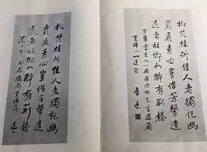 關(guān)于鎮店之寶的詩(shī)句