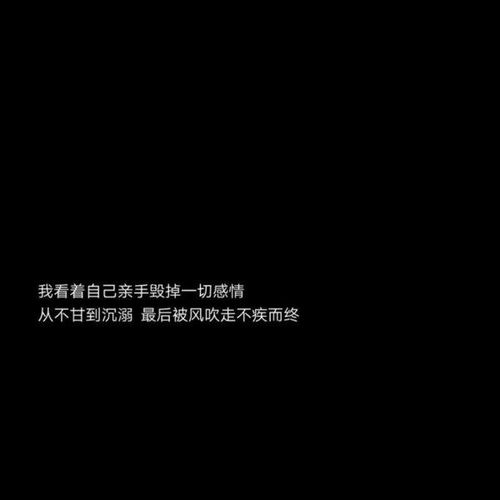 放棄遺憾的詩(shī)句古詩(shī)