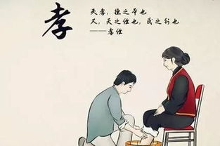 詩(shī)句,孝老愛(ài)親