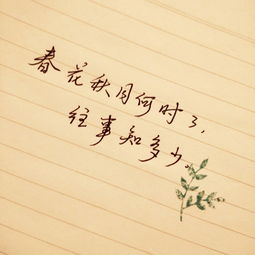 有關(guān)于空字的詩(shī)句