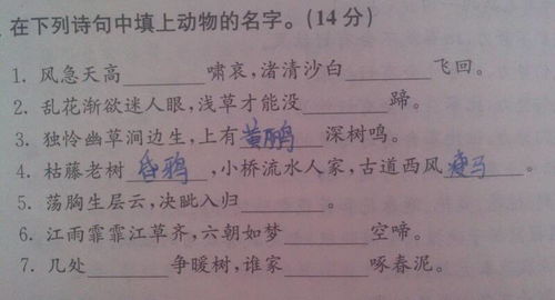 關(guān)于動(dòng)物名字的詩(shī)句
