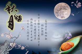 寫(xiě)于關(guān)于中秋節的詩(shī)句