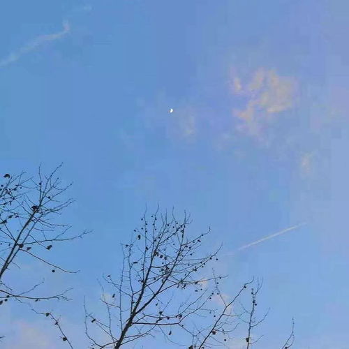這一生關(guān)于你的風(fēng)景詩(shī)句