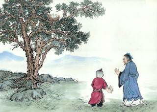 鳥(niǎo)的古詩(shī)句白居易翻譯