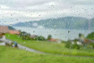 詩(shī)句,小雨,清晨