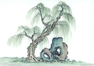 關(guān)于柳樹(shù)的完整詩(shī)句