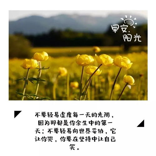 積極向上文藝的古詩(shī)句
