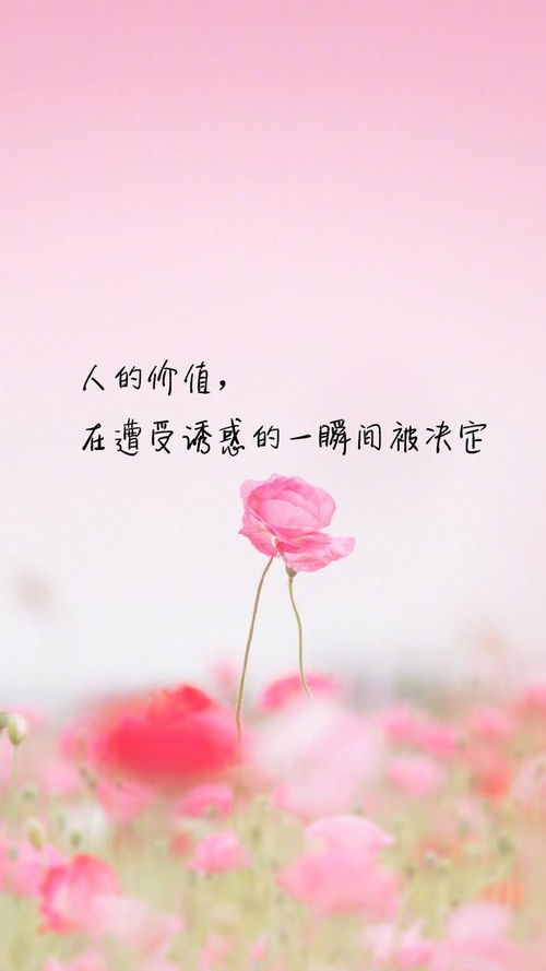 詩(shī)句是繁花似錦覓安寧的古詩(shī)是什么