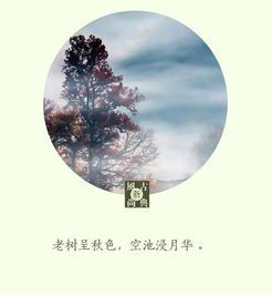 關(guān)于寫(xiě)秋天的詩(shī)句古詩(shī),關(guān)于寫(xiě)秋天的詩(shī)句有哪些?,關(guān)于秋天的古詩(shī)詩(shī)配畫(huà)