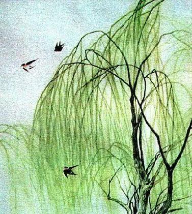 詠柳古詩(shī)寫(xiě)作者的聯(lián)想的詩(shī)句是什么
