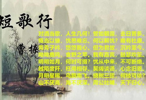 關于曹操最后一次南征的詩句