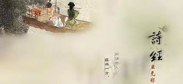 美人的詩(shī)句古詩(shī),思念美人的詩(shī)句古詩(shī),描寫(xiě)優(yōu)雅美人的詩(shī)句古詩(shī)