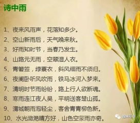小學(xué)畢業(yè)給同學(xué)的贈言古詩(shī),小學(xué)畢業(yè)古詩(shī)贈言,小學(xué)畢業(yè)必背古詩(shī)