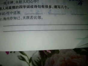 關(guān)于真情和套路的詩(shī)句