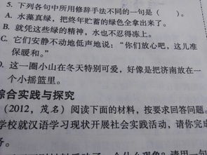 反語,詩(shī)句,修辭手法