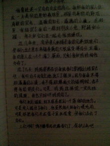 談?wù)劰旁?shī)句作文400字