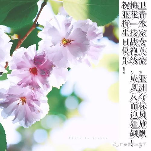 送給老師的祝福語(yǔ)古詩(shī)詩(shī)句元宵節,送給語(yǔ)文老師的古詩(shī)詞,結婚祝福語(yǔ)古詩(shī)詩(shī)句