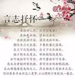 對偶,詩(shī)句,夏天,有哪些