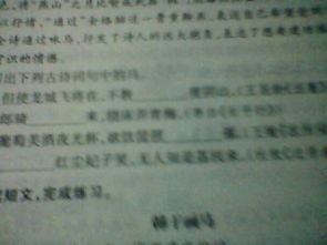 寫(xiě)出古詩(shī)中詠春的詩(shī)句