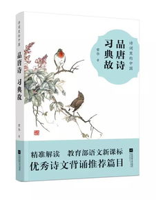 記錄古詩(shī)典故的詩(shī)句