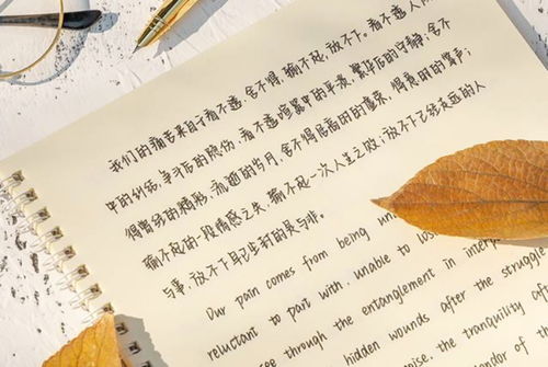 奶酪,詩(shī)句