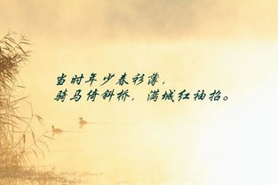 關(guān)于一生一世的古詩(shī)句