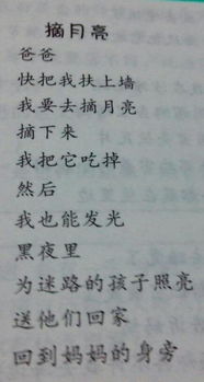 有什么,一句,詩(shī)句,描寫(xiě)
