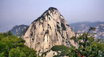 松樹(shù)的詩(shī)句古詩(shī),形容松樹(shù)的詩(shī)句古詩(shī),寫(xiě)松樹(shù)的詩(shī)句古詩(shī)