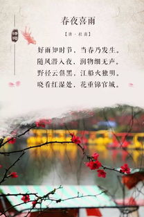 關(guān)于成都最好的詩(shī)句
