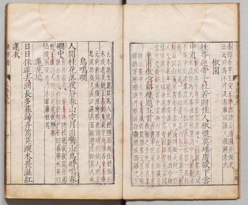 詩(shī)句,王維