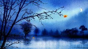 關(guān)于夏夜納涼的詩(shī)句
