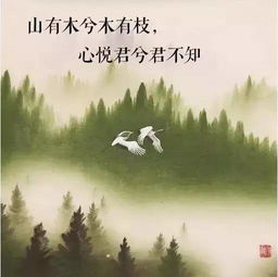 古詩(shī)表白的句子給女生,古詩(shī)表白的句子給男生,古詩(shī)表白的句子含蓄給男生