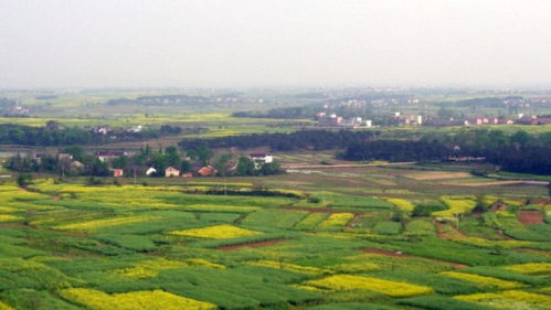 田園風(fēng)光詩(shī)句古詩(shī)詞,關(guān)于山水田園風(fēng)光的古詩(shī)詞,關(guān)于孟浩然田園風(fēng)光的古詩(shī)詞