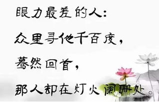 有關(guān)于我很棒的詩(shī)句