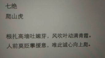 描寫(xiě)爬山虎的古詩(shī)句