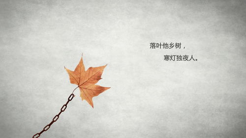 寫(xiě)孤獨寂寞的古詩(shī)句