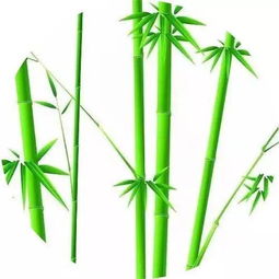 竹子唯美古詩(shī)句