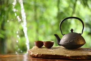 關(guān)于喝茶品茗的詩(shī)句