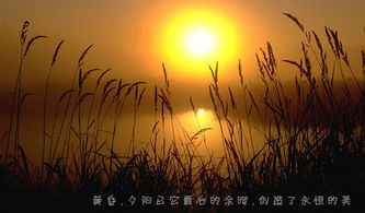 詩(shī)句,夜晚,安靜,表達
